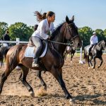 Mentale training voor ruiters