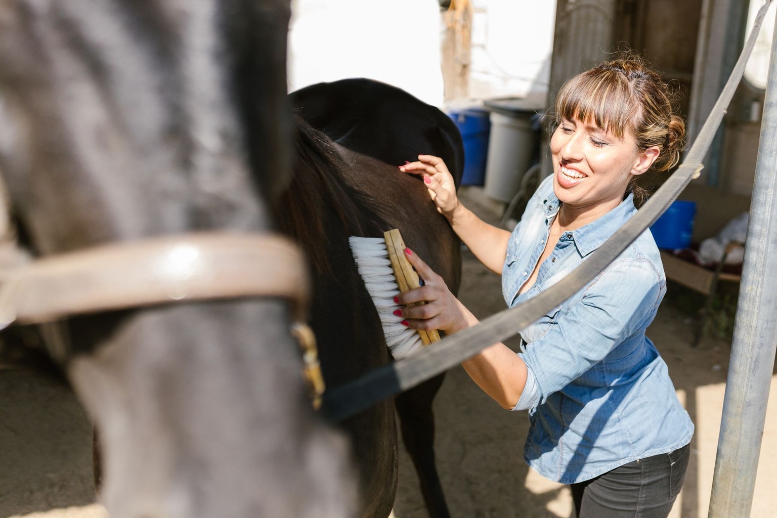 De beste manieren om je paard te motiveren tijdens training: beloningssystemen die werken — Primaire versus secundaire b De beste manieren om je paard te motiveren tijdens training: beloningssystemen die werken — Primaire versus secundaire b