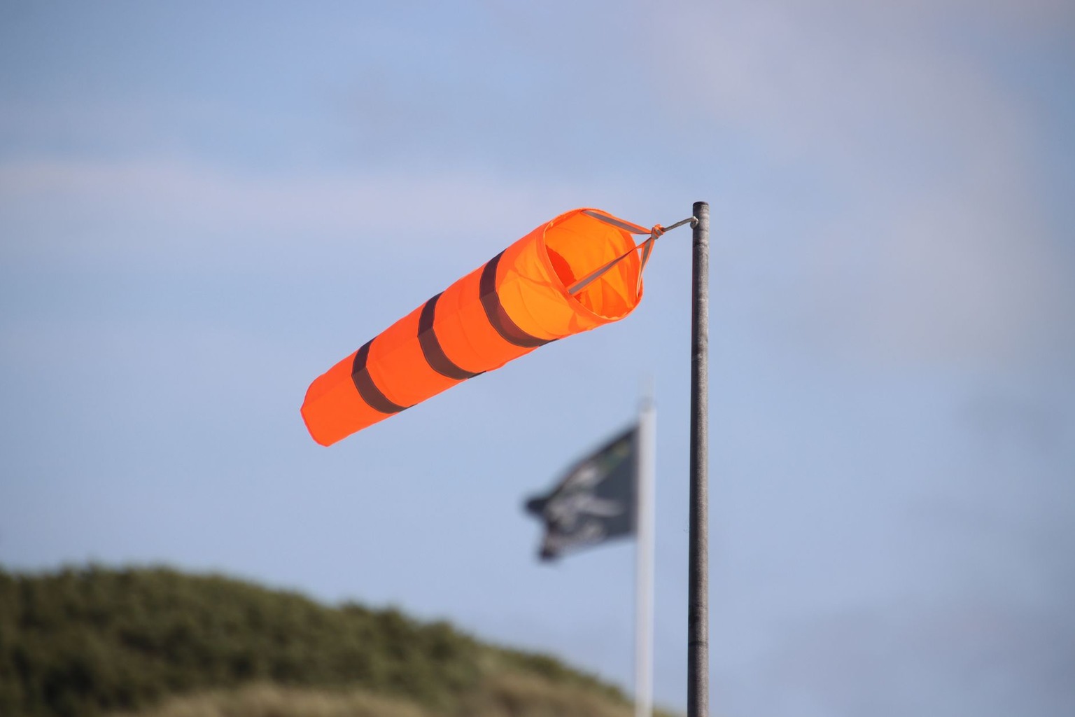 De impact van weersomstandigheden op paardentraining: wat je moet weten — Windrichting en windkracht bepalen