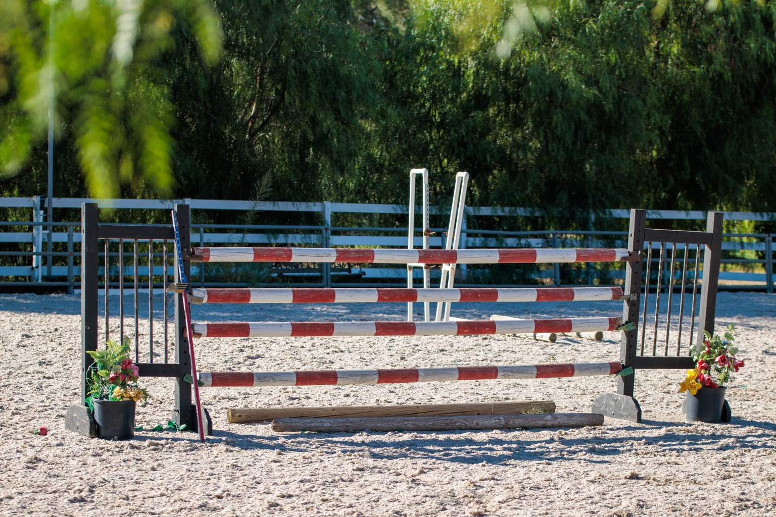 Hoe je paard leert om met nieuwe omgevingen om te gaan: desensibilisatie voor beginners — Het inbouwen van desensibilisa Hoe je paard leert om met nieuwe omgevingen om te gaan: desensibilisatie voor beginners — Het inbouwen van desensibilisa