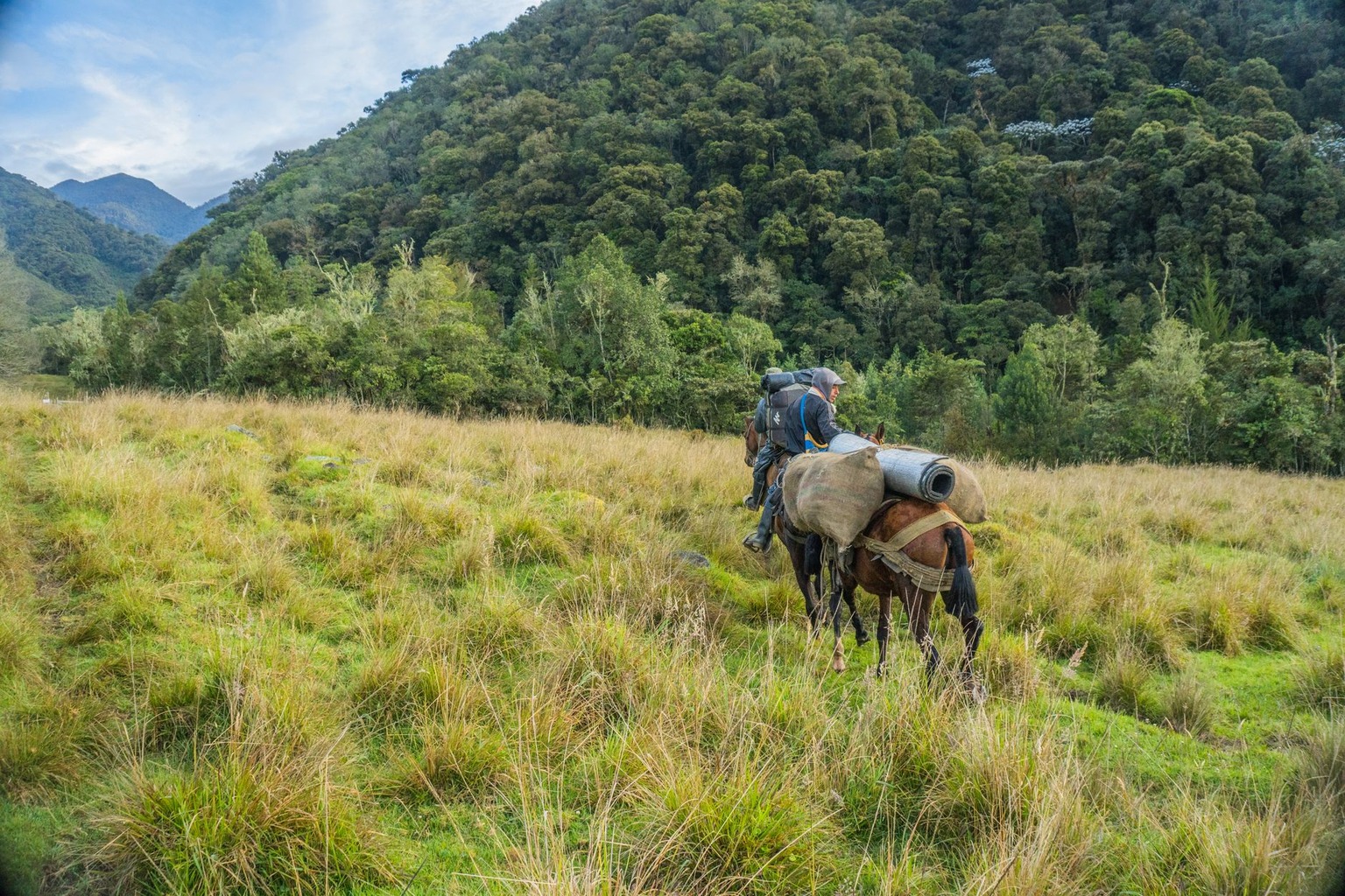 Hoe je paard optimaal voorbereidt op lange afstanden: tips voor uitstapjes met je paard