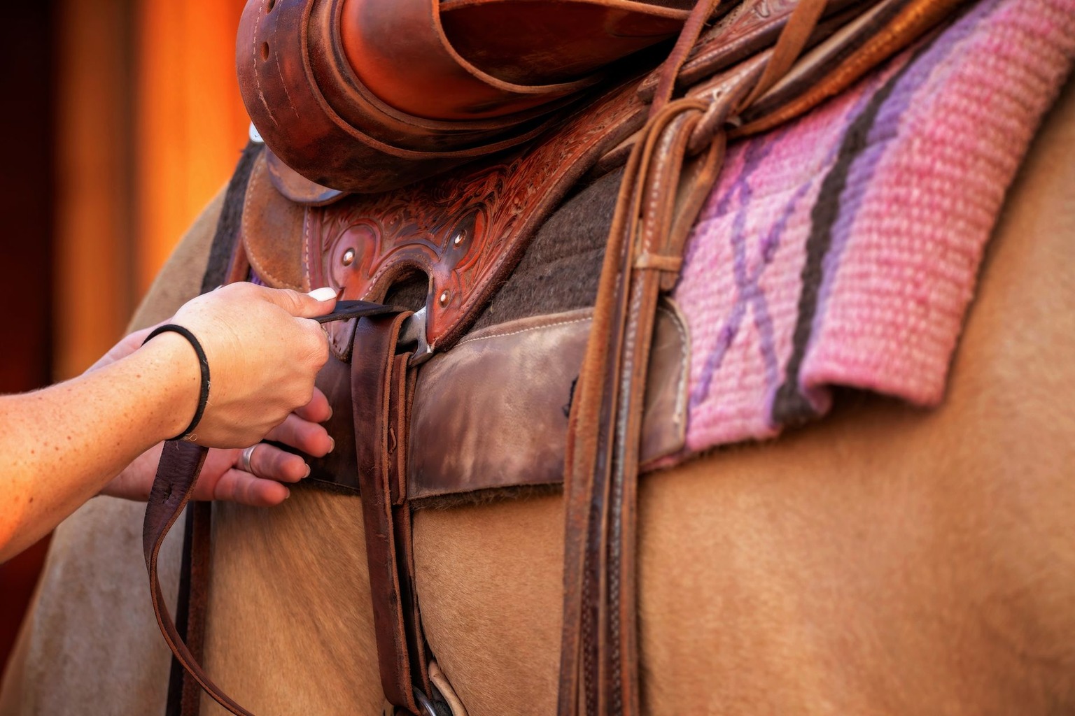 Hoe je paard optimaal voorbereidt op lange afstanden: tips voor uitstapjes met je paard — Pauzes en herstel: van de juis