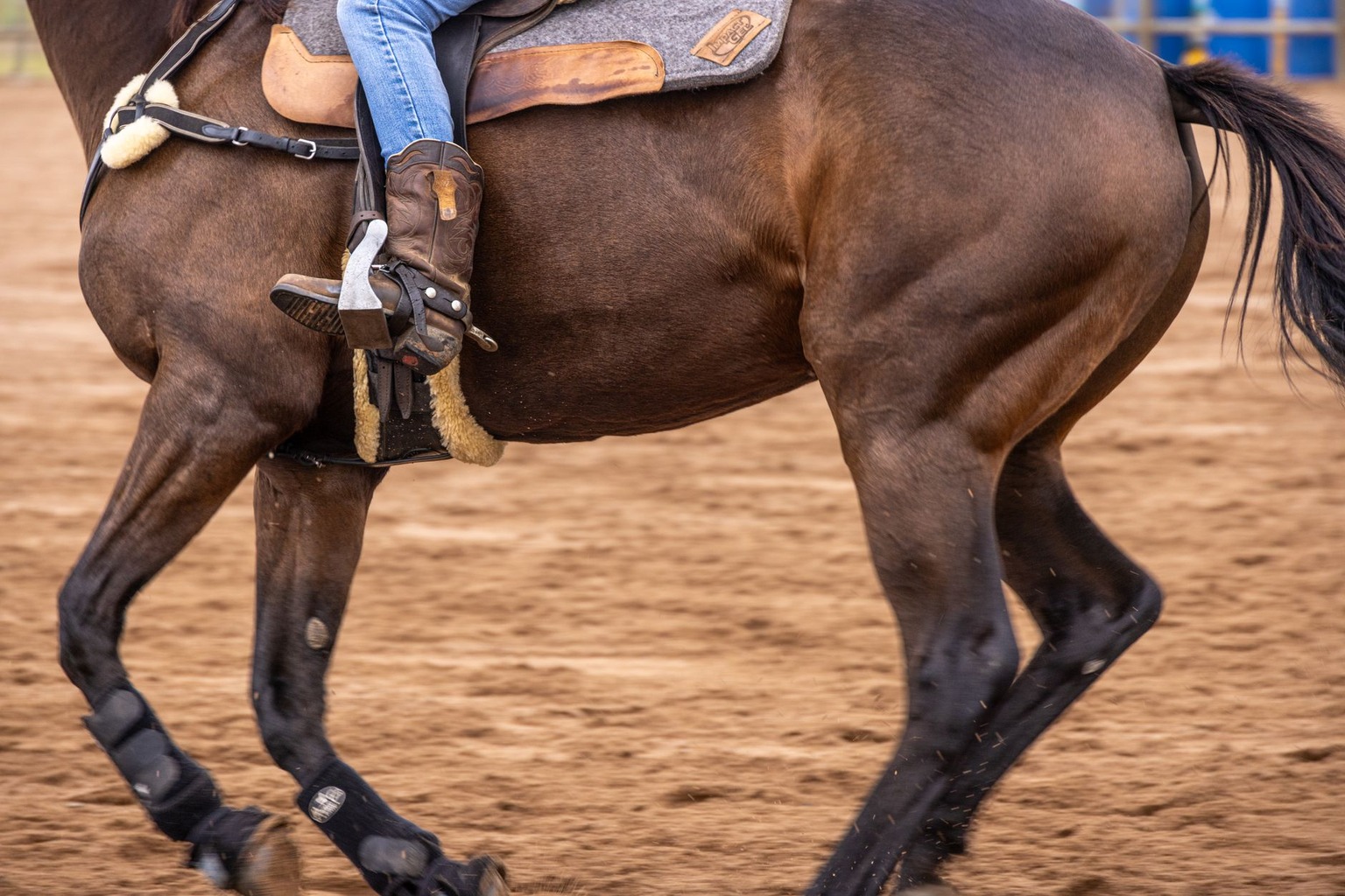 Paardensport en duurzaamheid: hoe je als ruiter milieuvriendelijker rijdt
