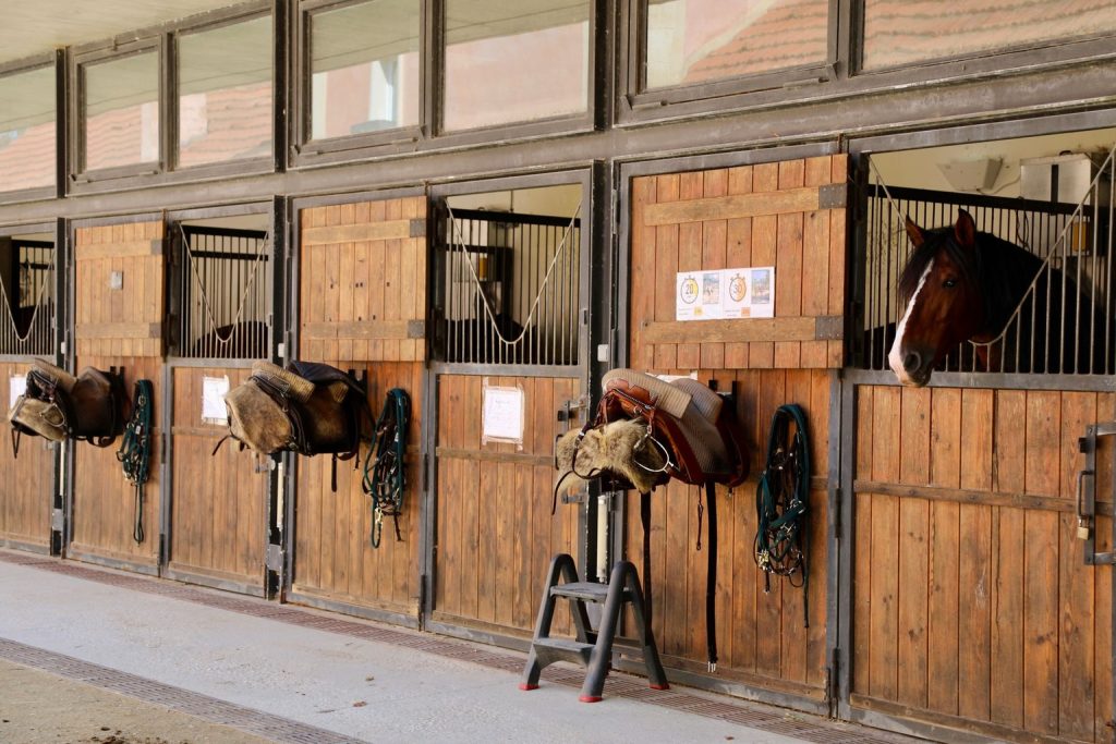 Paardentransport veilig regelen: tips voor stressvrije ritten