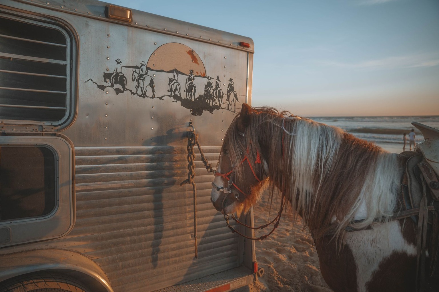 Paardentransport veilig regelen: tips voor stressvrije ritten — Rustige en veilige rijomstandigheden Paardentransport veilig regelen: tips voor stressvrije ritten — Rustige en veilige rijomstandigheden