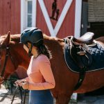 Verzekering voor sportpaarden
