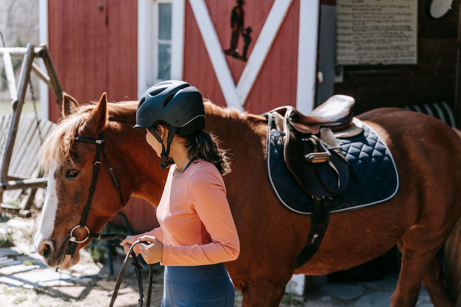 Verzekering voor sportpaarden