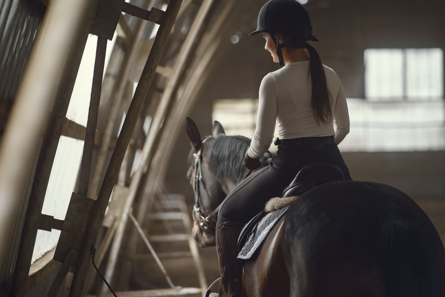 Waarom je paard in de winter extra aandacht nodig heeft: gezondheidstips — Het belang van beweging en training tijdens d
