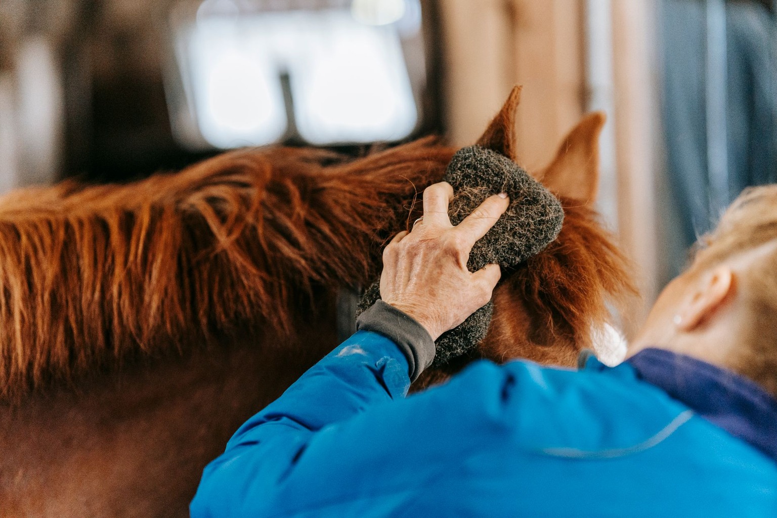 Waarom je paard in de winter extra aandacht nodig heeft: gezondheidstips — Aanvullende verzorging en hygiëne in de winte