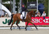 Luhmühlen dressuur, dag 2